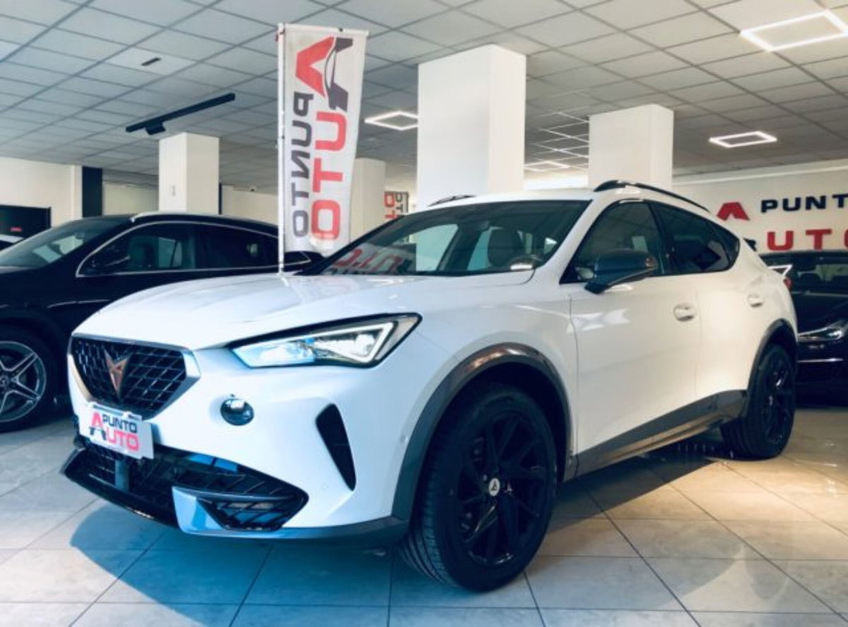 Cupra Formentor Formentor 1.5 TSI (15)