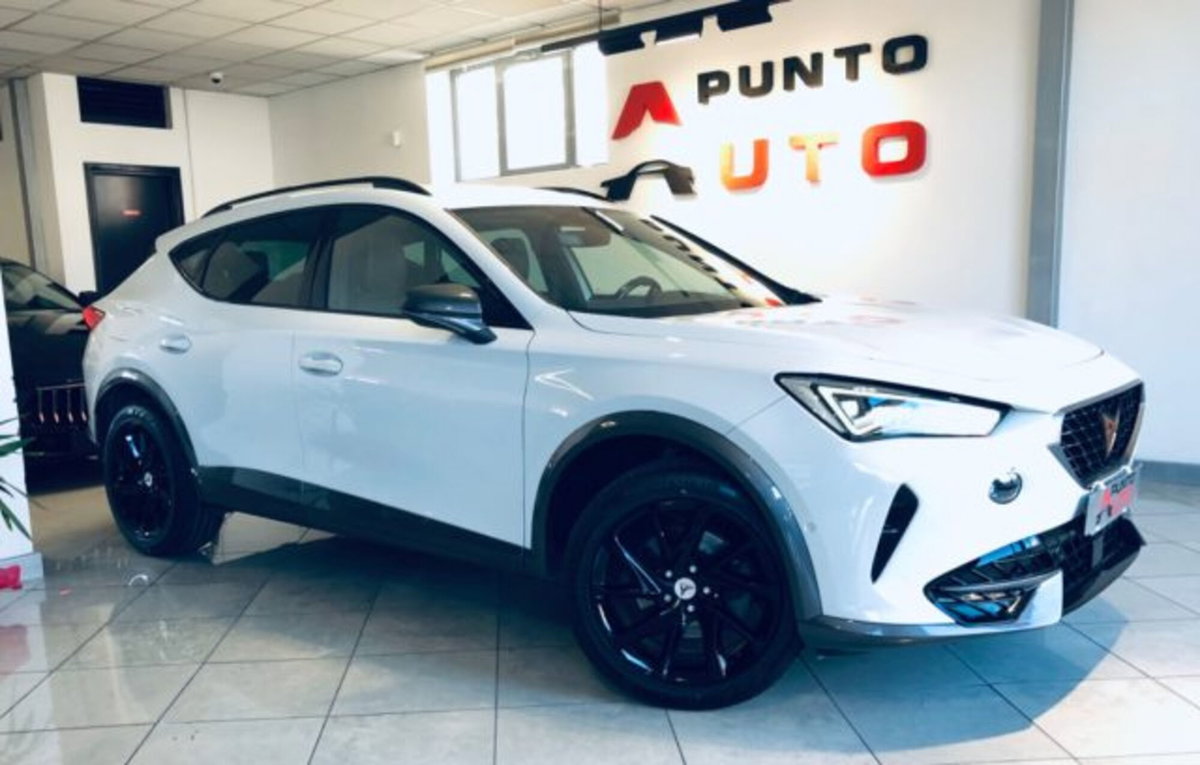 Cupra Formentor Formentor 1.5 TSI (19)