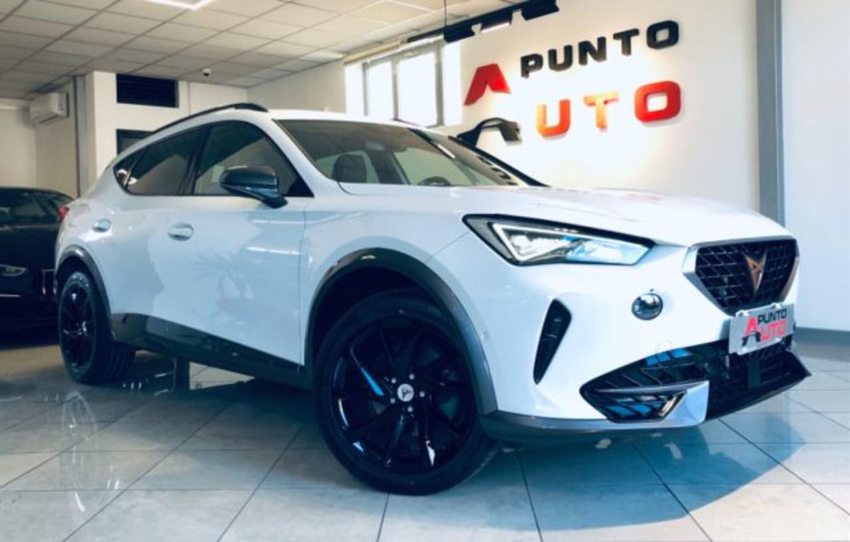 Cupra Formentor Formentor 1.5 TSI (20)