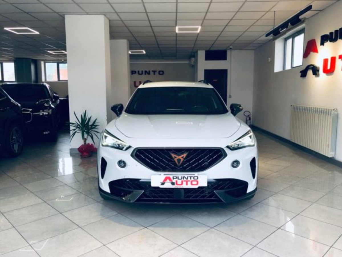 Cupra Formentor Formentor 1.5 TSI (6)