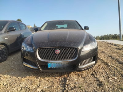Jaguar XF 2.0 D 180 CV Pure usata