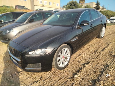 Jaguar XF 2.0 D 180 CV Pure (2)