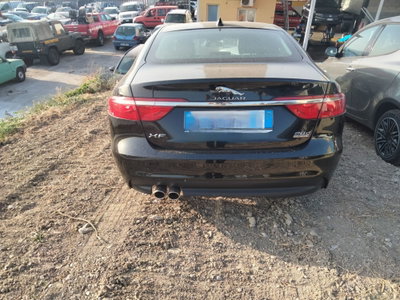 Jaguar XF 2.0 D 180 CV Pure (3)