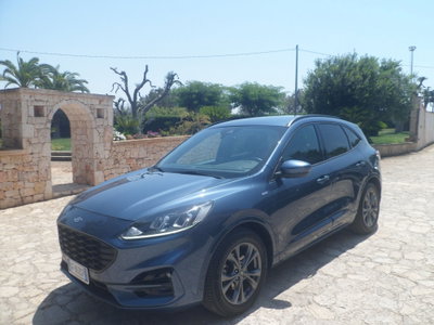 Ford Kuga 1.5 EcoBlue 120 CV 2WD ST-Line usata