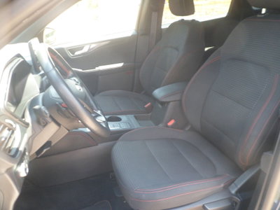 Ford Kuga 1.5 EcoBlue 120 CV 2WD ST-Line (17)