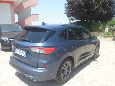 Ford Kuga 1.5 EcoBlue 120 CV 2WD ST-Line (5)