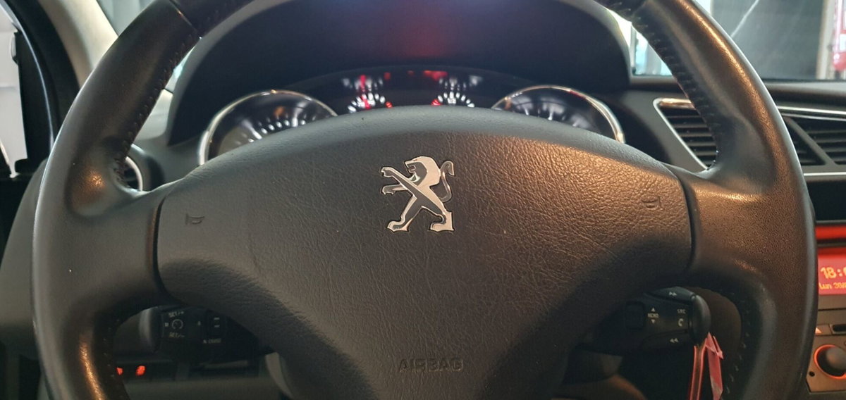 Peugeot 3008 1.6 HDi 115CV Active (6)