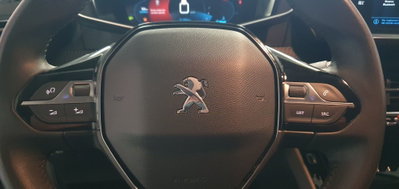 Peugeot 208 BlueHDi 100 Stop&Start 5 porte Allure Pack (18)