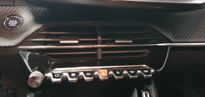 Peugeot 208 BlueHDi 100 Stop&Start 5 porte Allure Pack (5)
