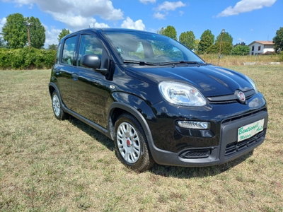 Fiat Panda 1.0 FireFly S&S Hybrid usata