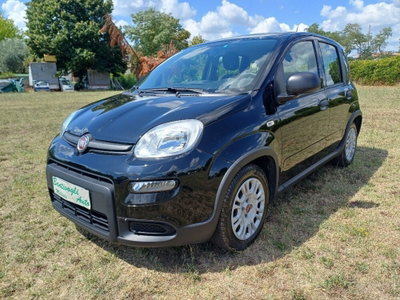 Fiat Panda 1.0 FireFly S&S Hybrid (2)