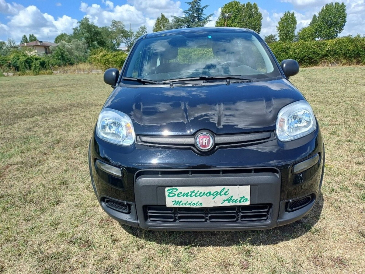 Fiat Panda 1.0 FireFly S&S Hybrid (4)