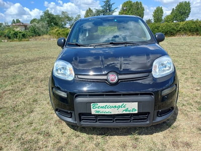 Fiat Panda 1.0 FireFly S&S Hybrid (4)