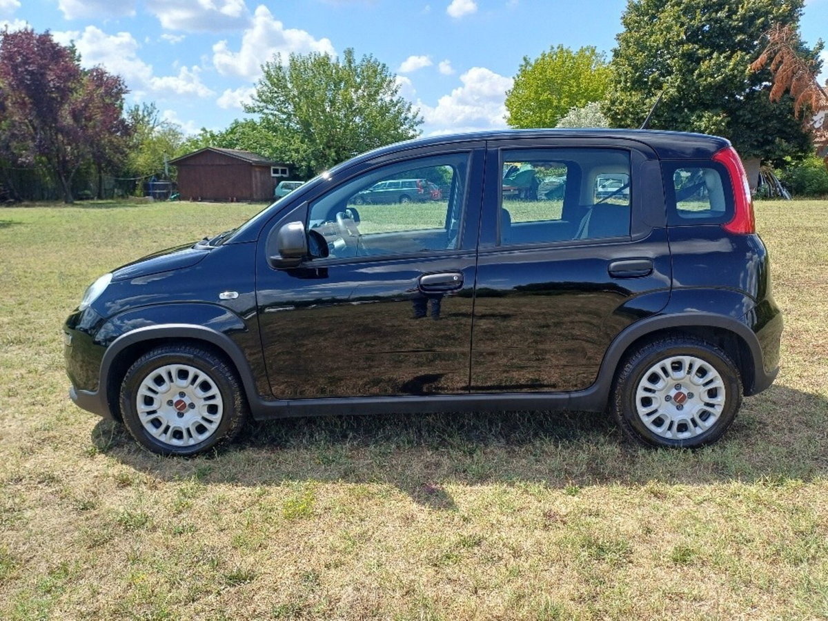 Fiat Panda 1.0 FireFly S&S Hybrid (5)