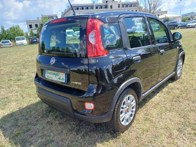Fiat Panda 1.0 FireFly S&S Hybrid (8)