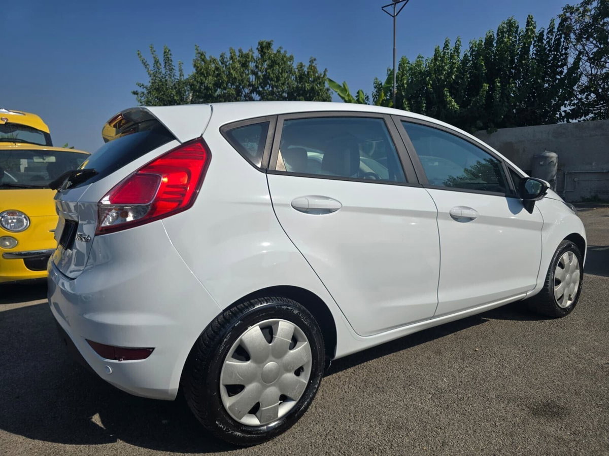 Ford Fiesta 1.5 TDCi 75CV 5 porte Black & White Edition (15)
