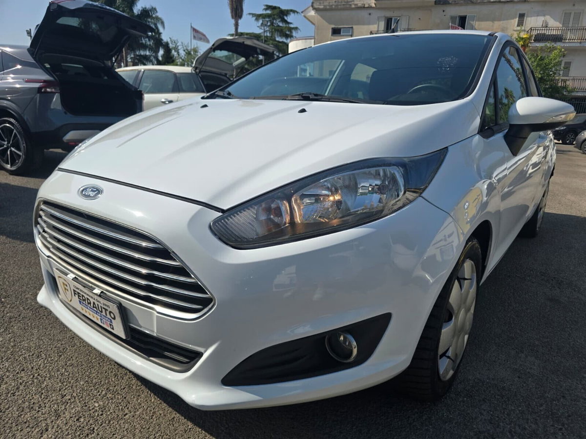 Ford Fiesta 1.5 TDCi 75CV 5 porte Black & White Edition (3)