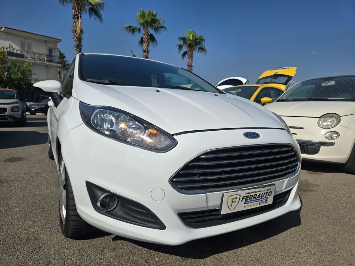Ford Fiesta 1.5 TDCi 75CV 5 porte Black & White Edition (4)