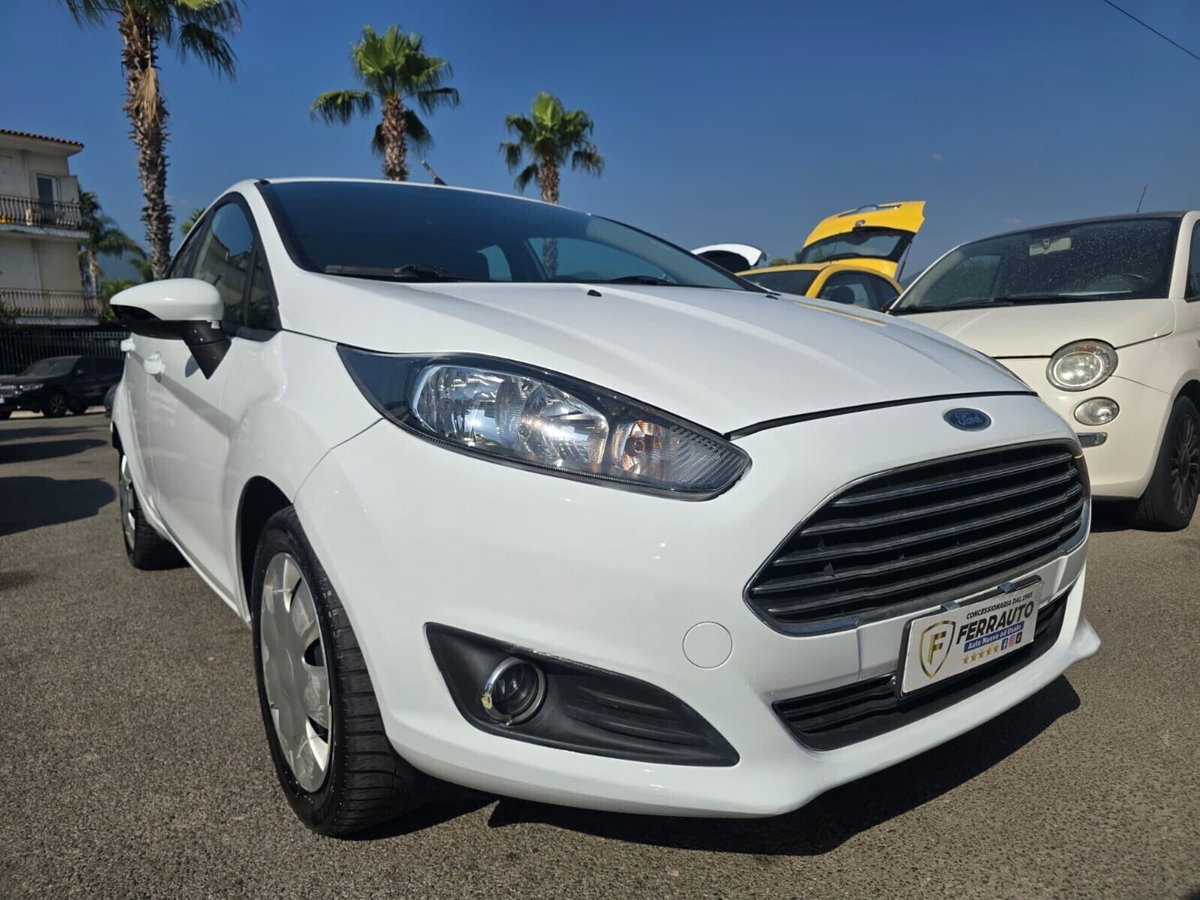 Ford Fiesta 1.5 TDCi 75CV 5 porte Black & White Edition (5)
