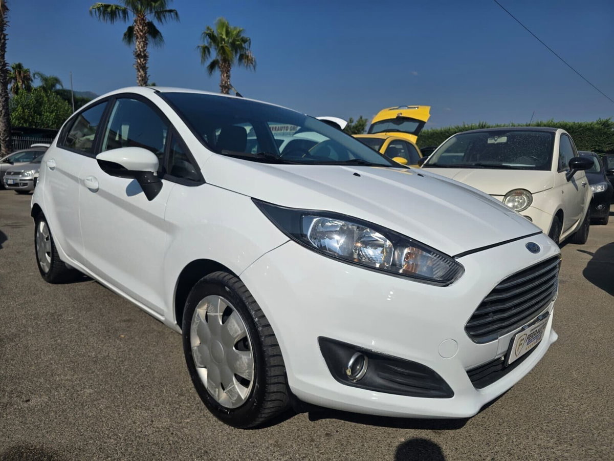 Ford Fiesta 1.5 TDCi 75CV 5 porte Black & White Edition (6)