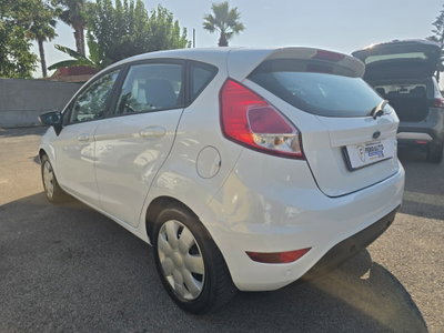 Ford Fiesta 1.5 TDCi 75CV 5 porte Black & White Edition (7)