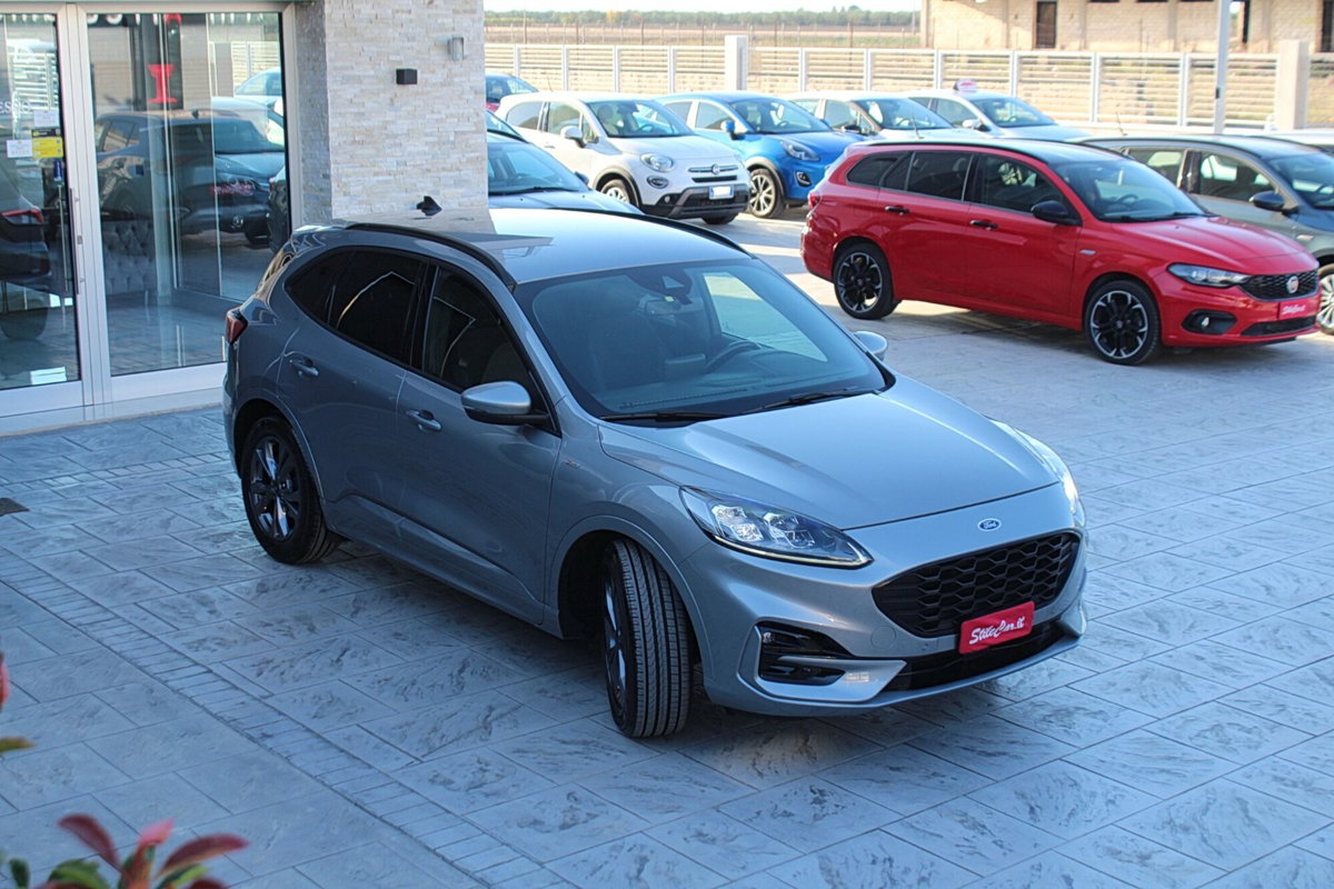 Ford Kuga 1.5 EcoBlue 120 CV aut. 2WD ST-Line X (5)