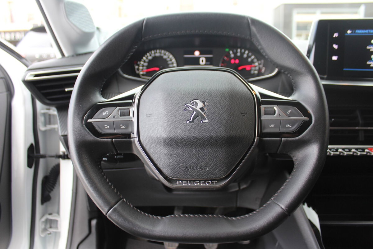 Peugeot 208 BlueHDi 100 Stop&Start 5 porte Active Pack (16)