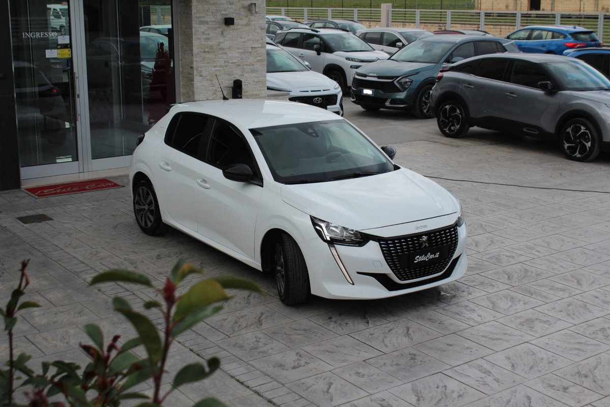 Peugeot 208 BlueHDi 100 Stop&Start 5 porte Active Pack (5)