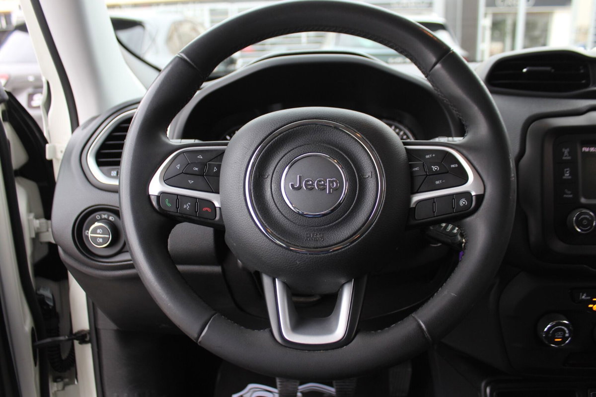 Jeep Renegade 1.6 Mjt 130 CV Longitude (20)