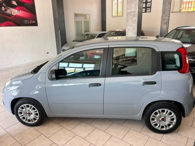 Fiat Panda 1.0 FireFly S&S Hybrid (3)