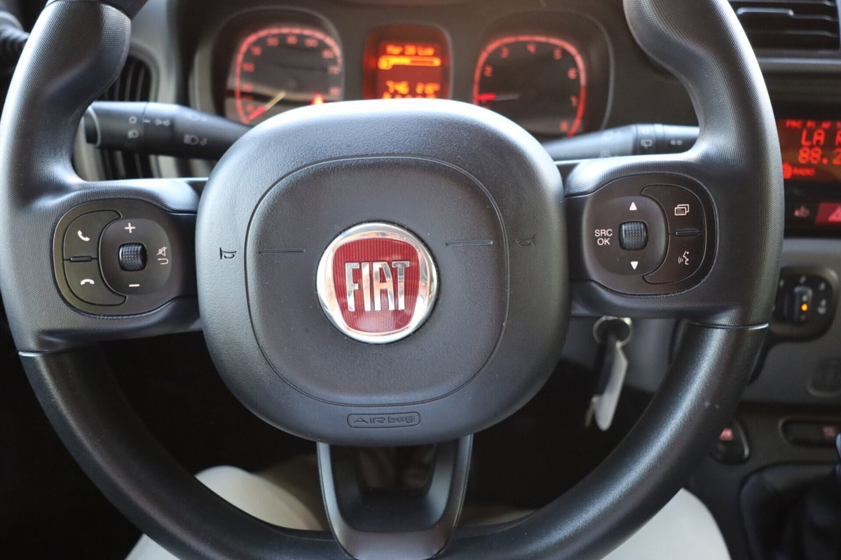 Fiat Panda 1.0 FireFly S&S Hybrid City Cross (14)