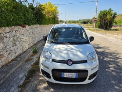 Fiat Panda 1.3 MJT 80 CV S&S Easy usata