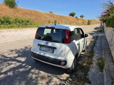 Fiat Panda 1.3 MJT 80 CV S&S Easy (3)
