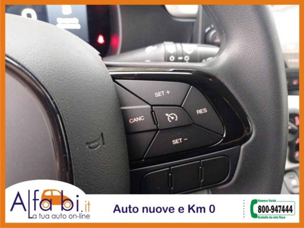 Fiat Pandina 1.0 firefly hybrid s&s 65cv (18)