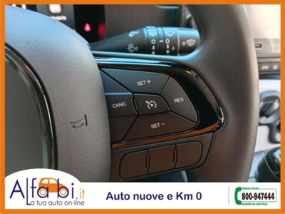 Fiat Pandina 1.0 firefly hybrid s&s 65cv (13)