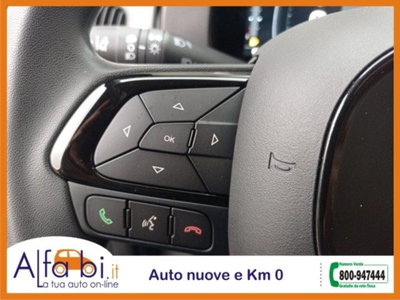 Fiat Pandina 1.0 firefly hybrid s&s 65cv (17)