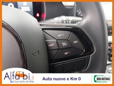 Fiat Pandina 1.0 firefly hybrid s&s 65cv (18)
