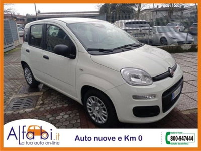 Fiat Pandina 1.0 firefly hybrid Pop s&s 65cv (5)