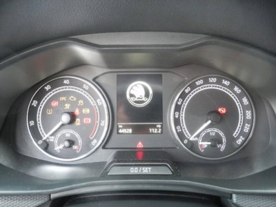 Skoda Kamiq 1.0 TSI 110 CV DSG Ambition (17)