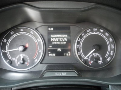 Skoda Kamiq 1.0 TSI 110 CV DSG Ambition (19)