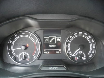 Skoda Kamiq 1.0 TSI 110 CV DSG Ambition (20)