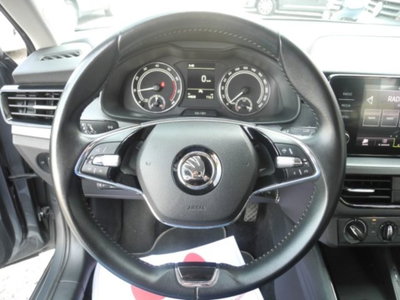 Skoda Kamiq 1.0 TSI 110 CV DSG Ambition (5)