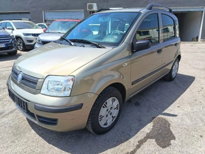 Fiat Panda 1.2 Dynamic usata