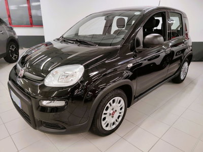 Fiat Panda Cross Cross 1.0 FireFly S&S Hybrid usata