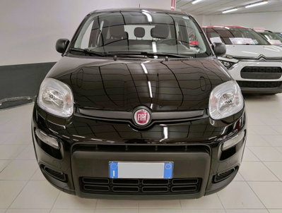 Fiat Panda Cross Cross 1.0 FireFly S&S Hybrid (2)
