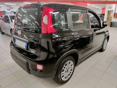 Fiat Panda Cross Cross 1.0 FireFly S&S Hybrid (4)