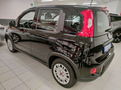 Fiat Panda Cross Cross 1.0 FireFly S&S Hybrid (6)