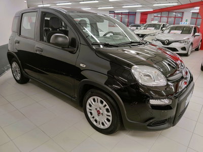 Fiat Panda Cross Cross 1.0 FireFly S&S Hybrid (3)