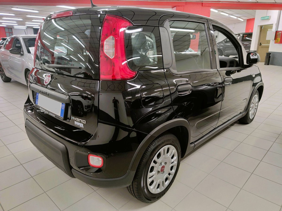 Fiat Panda Cross Cross 1.0 FireFly S&S Hybrid (4)