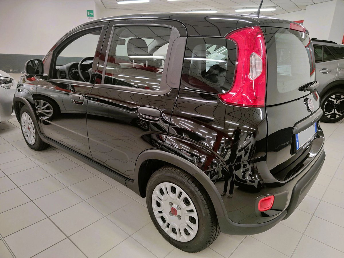 Fiat Panda Cross Cross 1.0 FireFly S&S Hybrid (6)